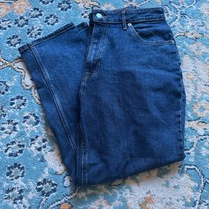 Everlane The Curvy Cheeky Crop Jeans Size 32 Regular Wash Organic Cotton Denim